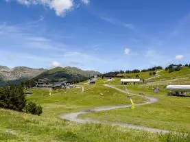 Apartaments Turistics Natural Suites Manzano 3000 alojamientos turísticos en Pas de la Casa